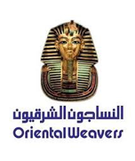 الوكيل للأمن والحراسة